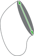 Pocket Opening measuring for Shorts